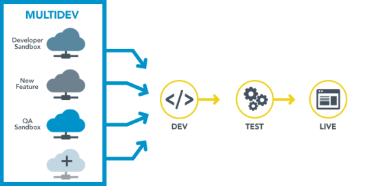 Pantheon multi branch devops