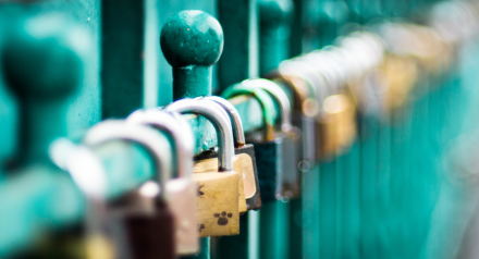 Row of locks on a green fence