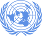 Social impact organization: United Nations (UN)